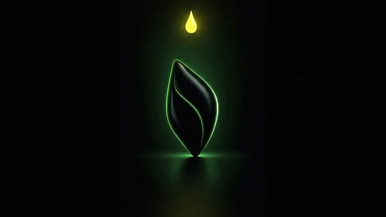 The seed and the drop. Seed Launchpad.